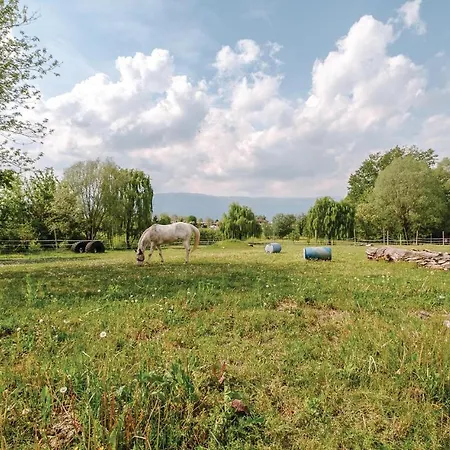 Gorgeous In -pd- With Kitchen Appartement Sacile